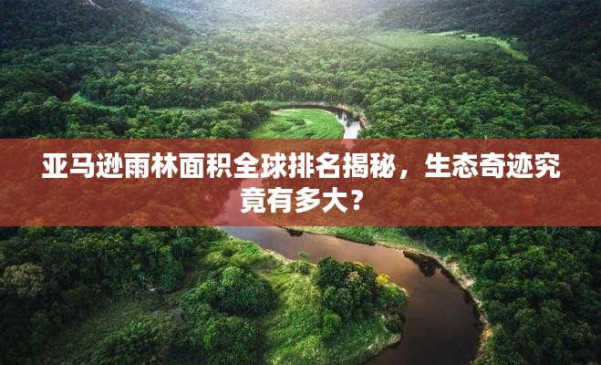 亚马逊雨林面积全球排名揭秘,生态奇迹究竟有多大?