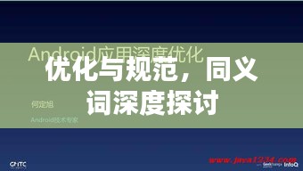 优化与规范,同义词深度探讨