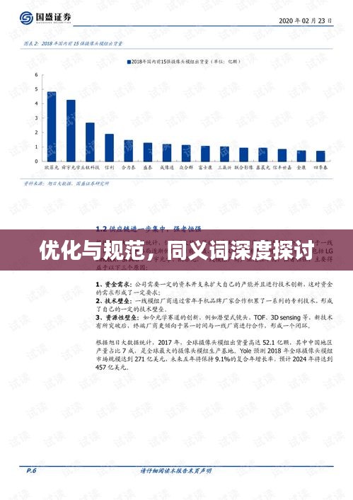 优化与规范,同义词深度探讨