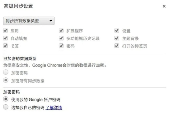 掌盟官方下载,深入研究解释定义-Chromebook_v1.356