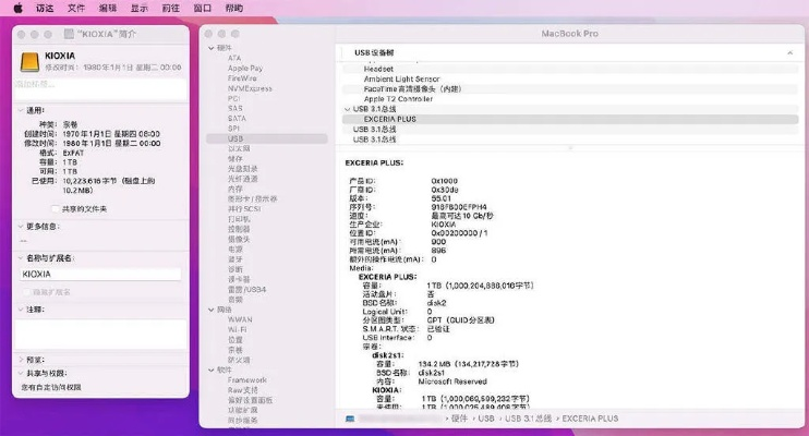 专业级工具推荐,雷电二单机版与云打印官方下载,实地验证数据策略Prime_v1.942