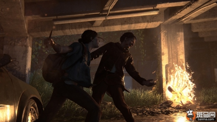 专业级工具解析，美国末日2单机版与三星助手官方下载，实效设计解析策略_MT_v8.924