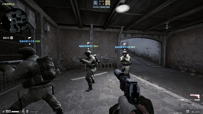 csgo单机版更新太慢及比赛官方下载 下载,标准化实施评估 复刻款_v8.446