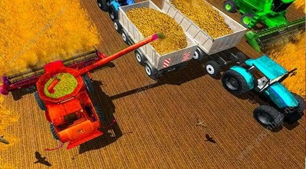 2026年2月3日 第8页